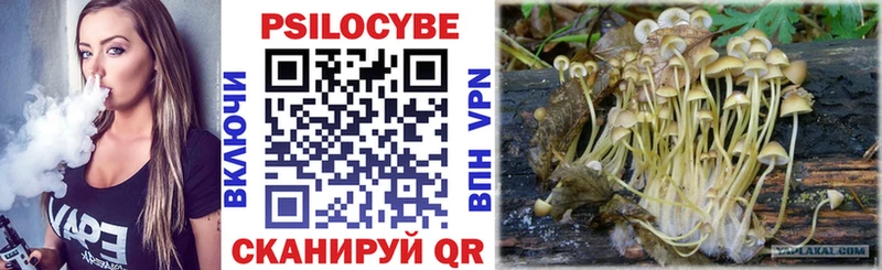 Галлюциногенные грибы Psilocybine cubensis закладки Чита